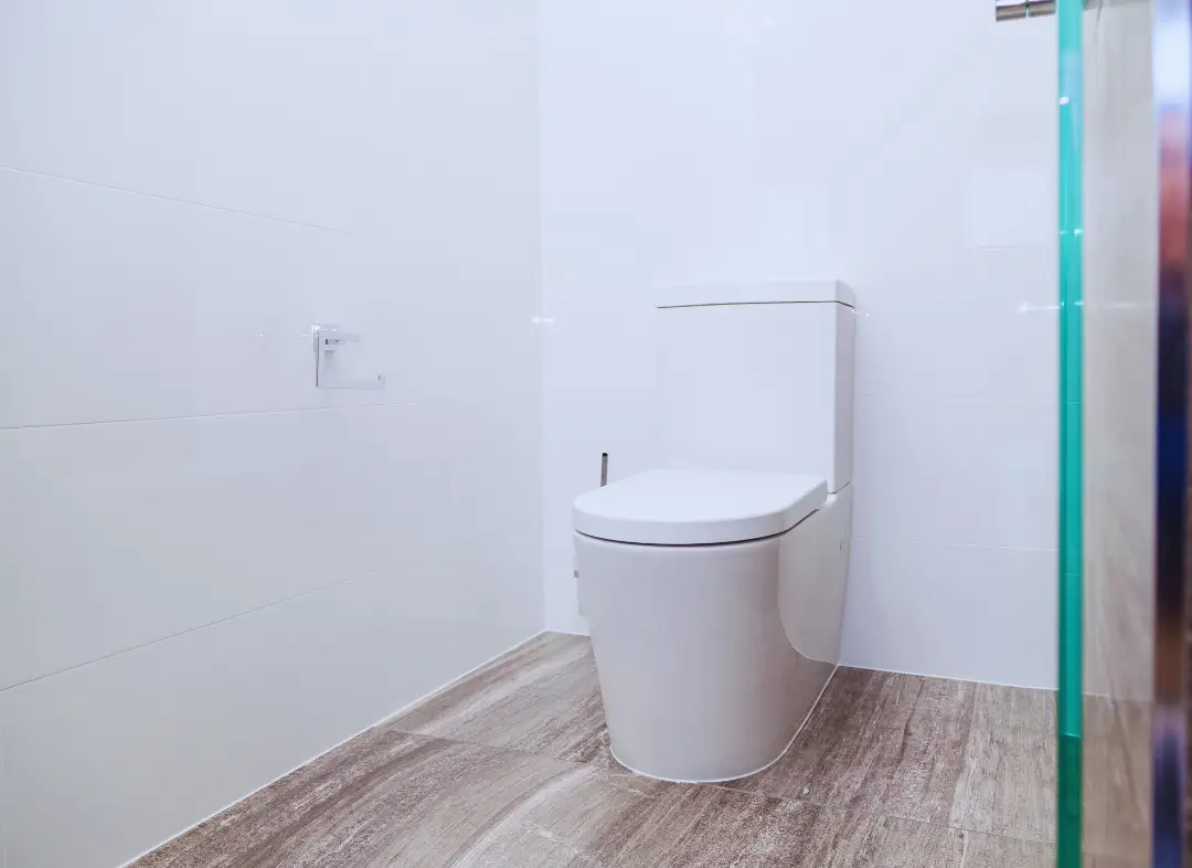 Remplacement de wc Saint-Vallier-de-Thiey